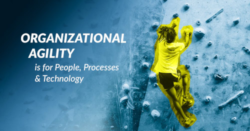 Organizational Agility | NTELogic.com